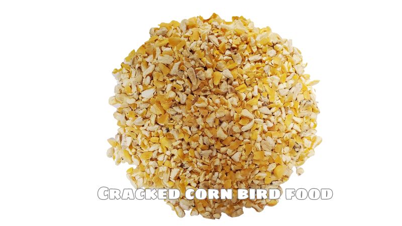 Cracked corn bird food