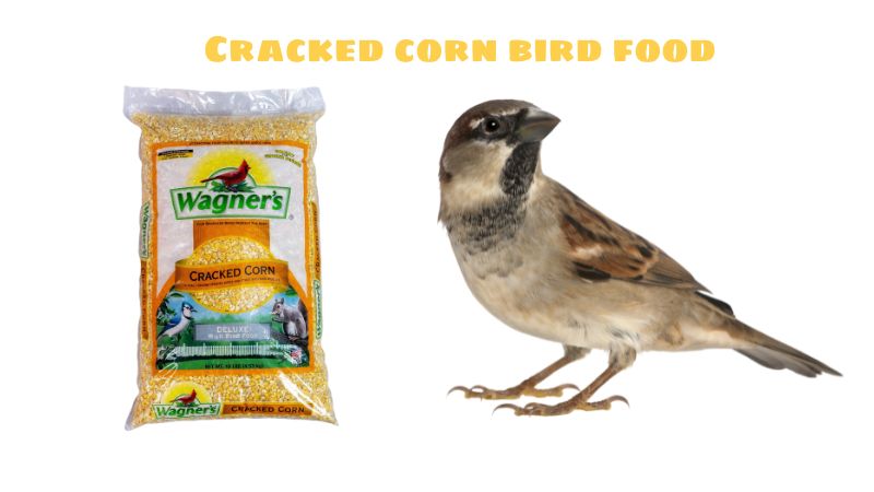 Cracked corn bird food – ideal food for birds