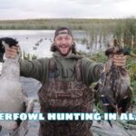 Waterfowl hunting in alaska