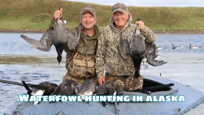 Waterfowl hunting in alaska