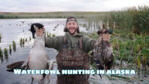 Waterfowl hunting in alaska