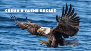 Learn about coeur d alene eagles